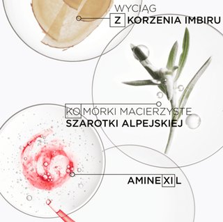 Kérastase składniki kosmetyków