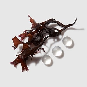 In Salon Routines Chronologiste Article 11 Kérastase